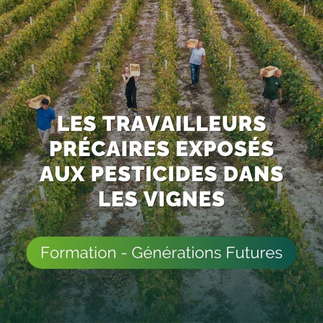 Retour sur notre formation axée sur les travailleurs précaires exposés aux pesticides dans les vignes du bordelais